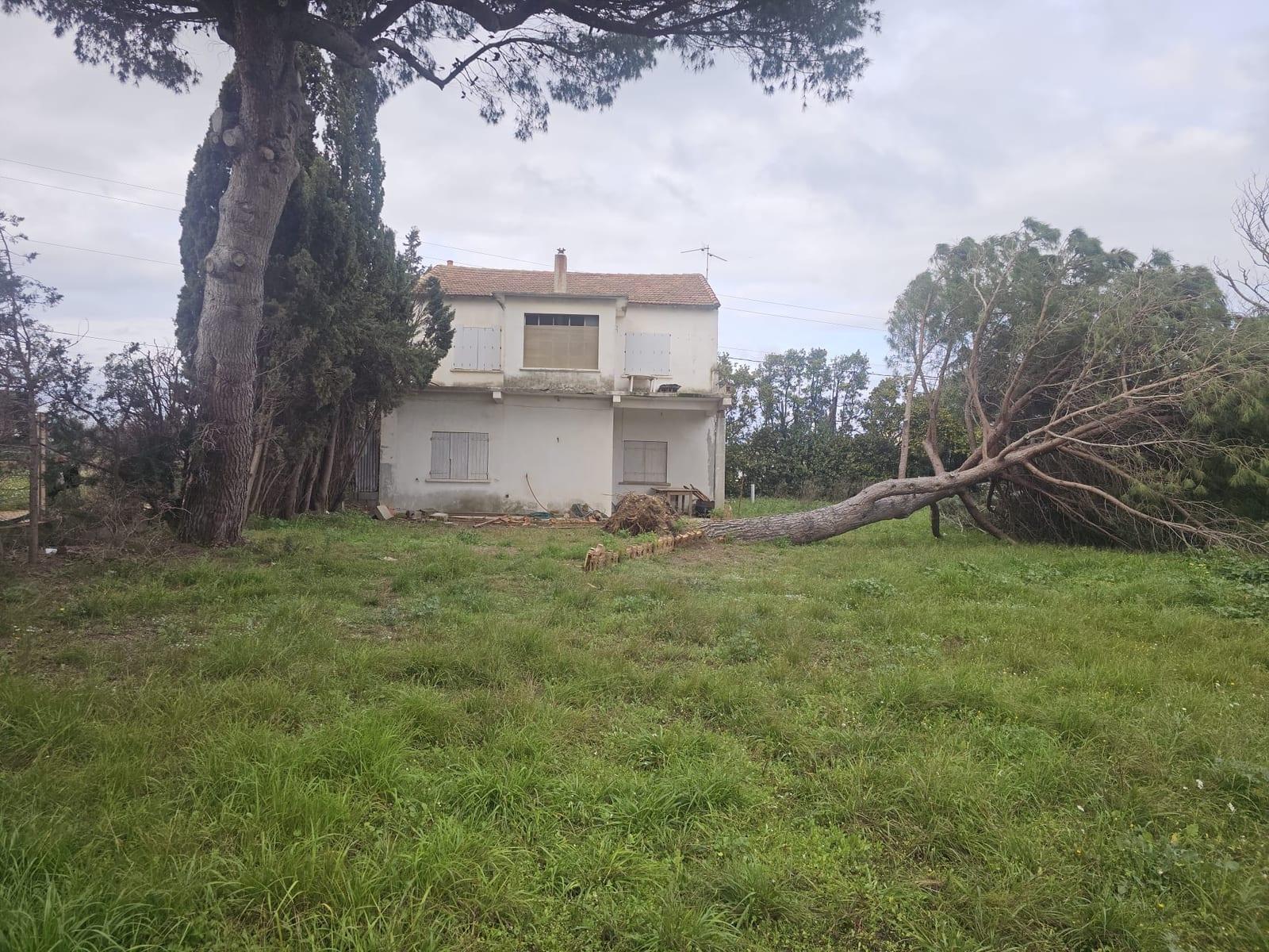 Maison à Narbonne après la chute d’un arbre ayant endommagé les garde-corps et les supports béton de la terrasse