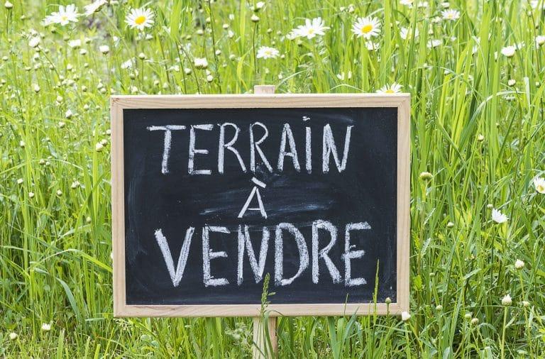 Panneau « Terrain à vendre » écrit à la craie, planté dans l'herbe d'une parcelle